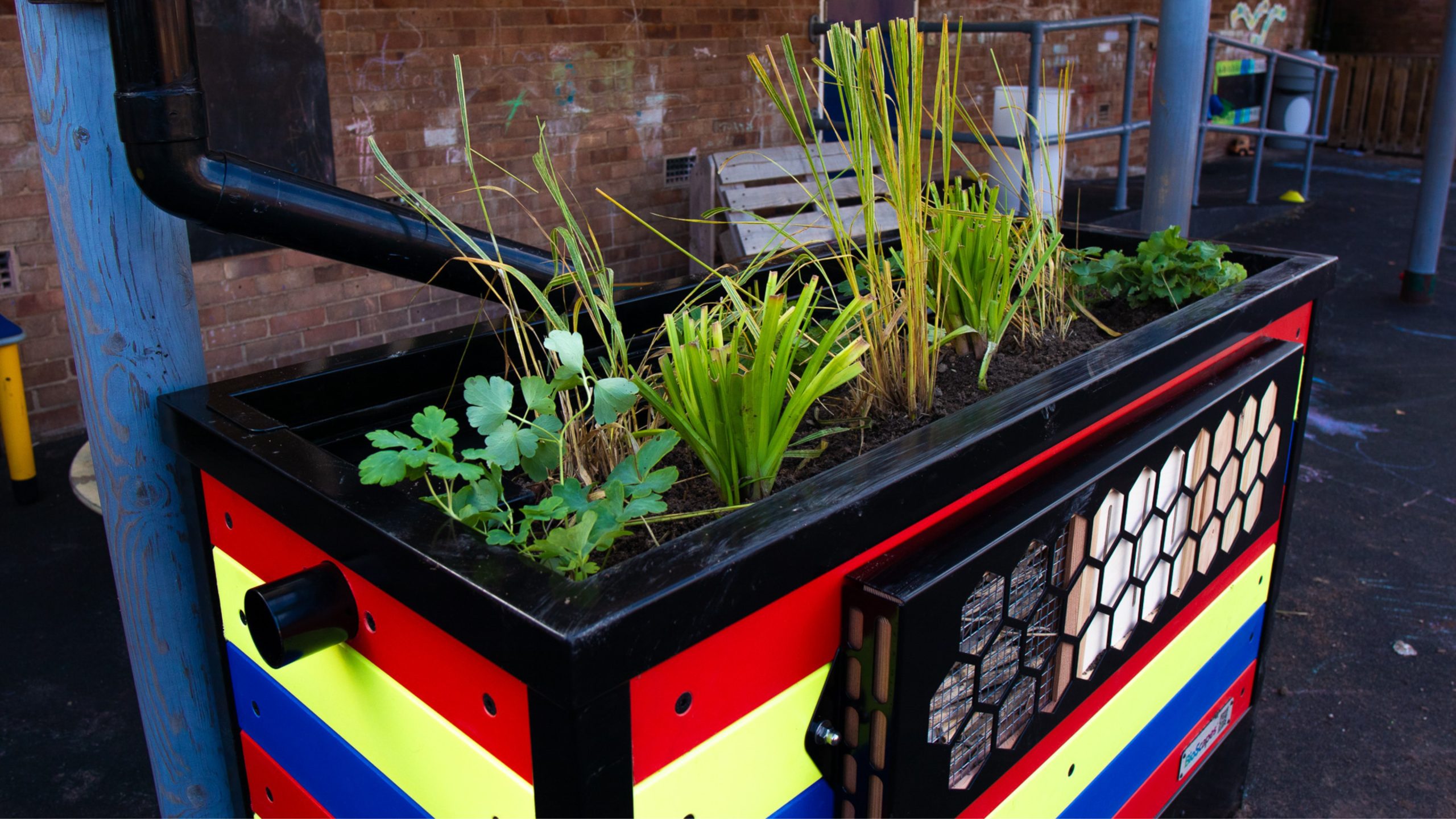 education suds planter in school