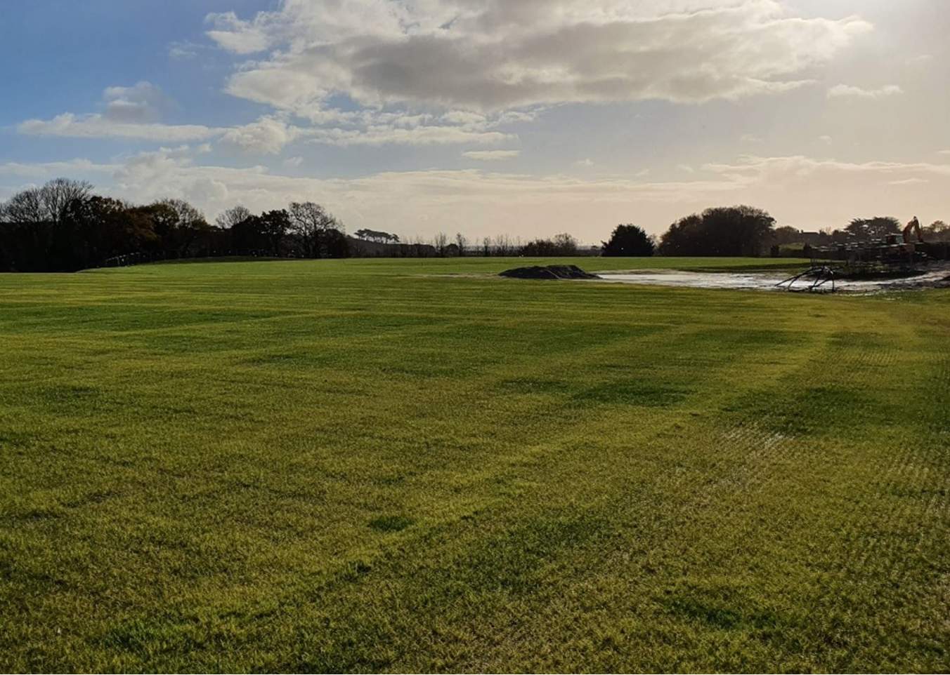 cricket pitch