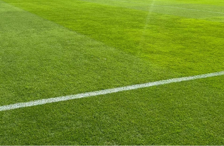 rugby pitch