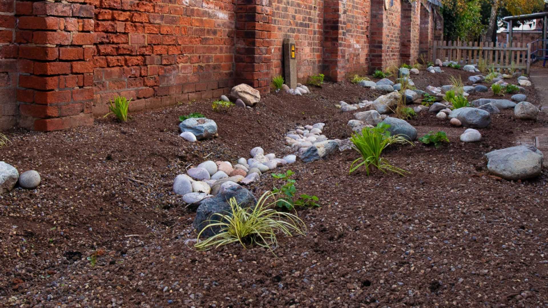 suds rain garden in school