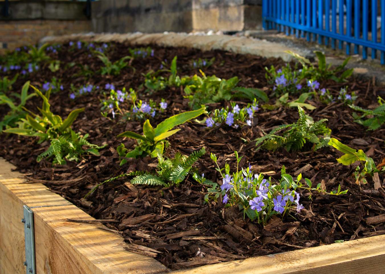 sustainable water management feature