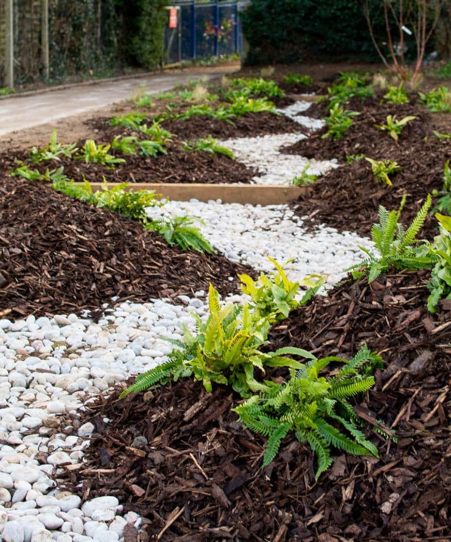 SuDS construction - carrick