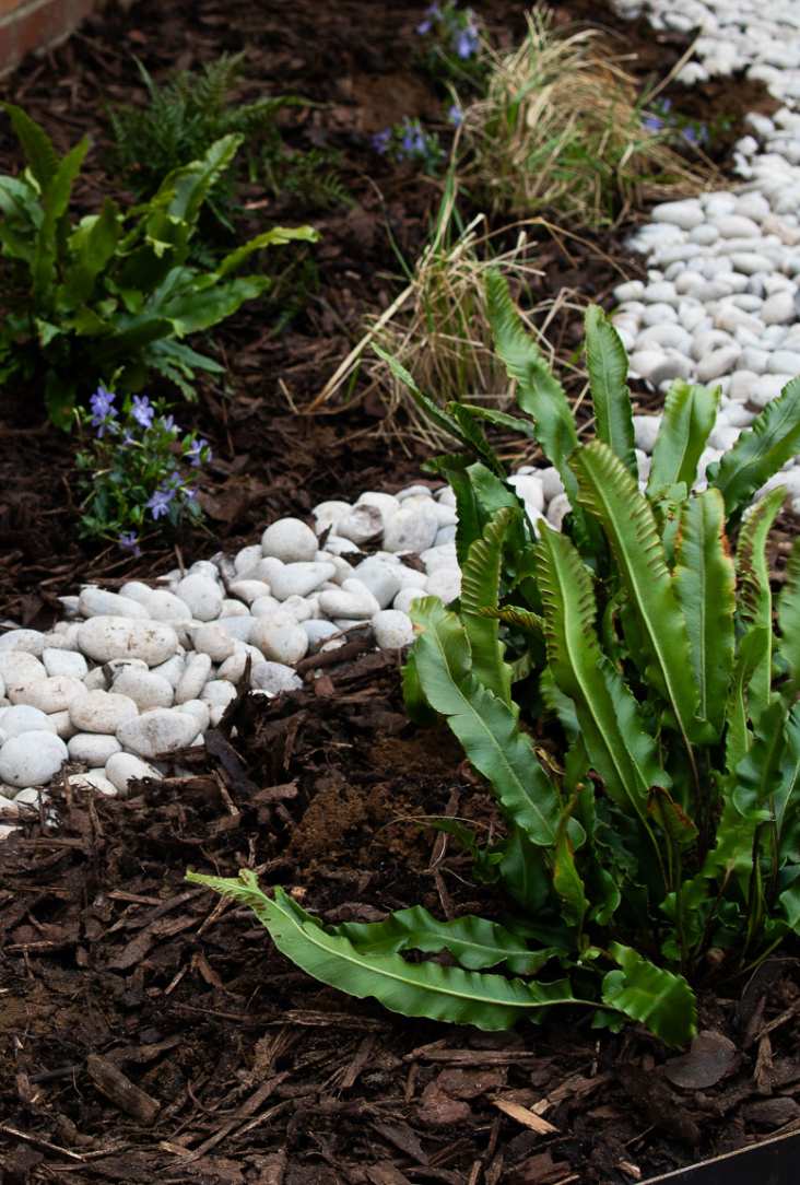 carrick construction suds in schools featured image