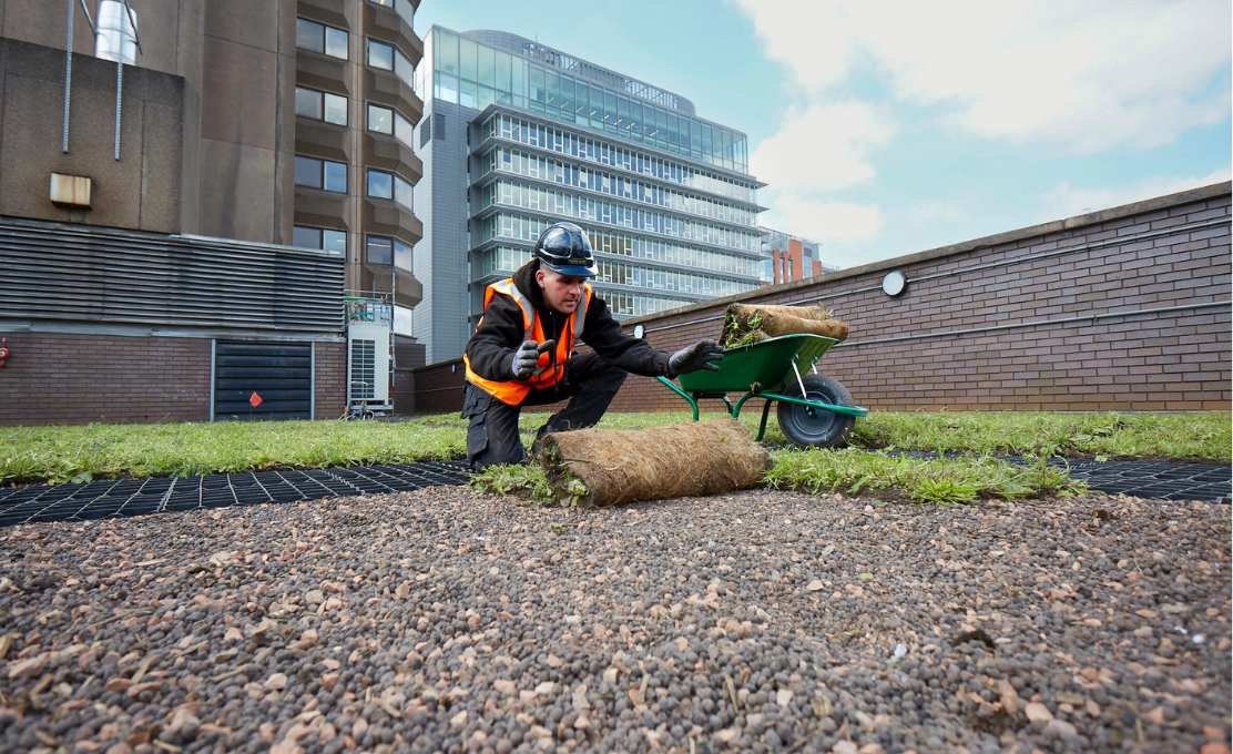 man laying turf