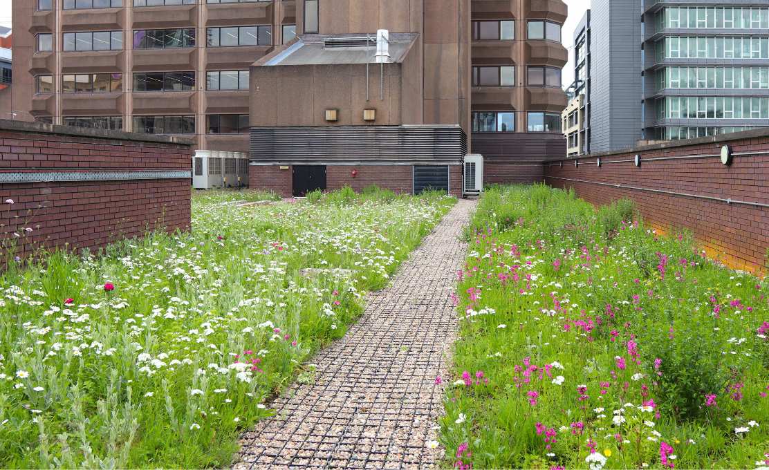 bruntwood bloc roof garden